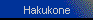 Hakukone